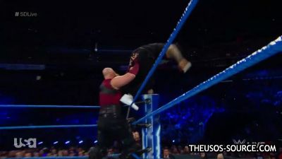 42418_-_Video_Dailymotion_28129_mp42335.jpg