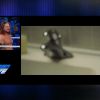 Filename=Dailymotion_Video_Player_-_101618_mp4904.jpg
Filesize=58KiB
Dimensions=1280x720
Date added=Oct 20, 2018 Dailymotion_Video_Player_-_101618_mp4904.jpg