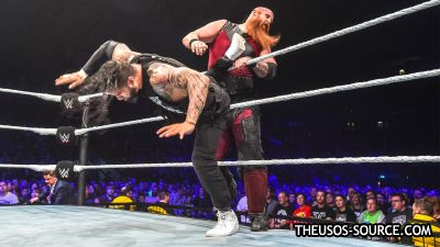 011_Newcastle_05172018_0567dog--123864d30f8e99351e6e4563fc5a5055.jpg