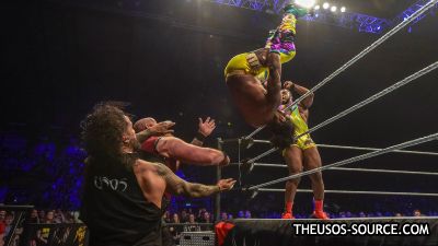 012_Newcastle_05172018_0645dog--b6660045fd884327e6c2a386658840f4.jpg
