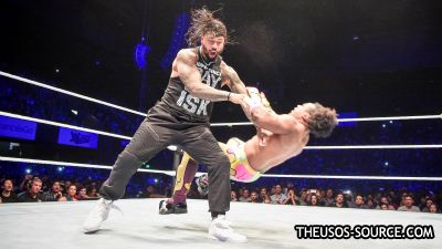 024_ArgentinaShow_10202017_1527_dog--f7d606d128a470f3906e8ae8fefaab5e.jpg