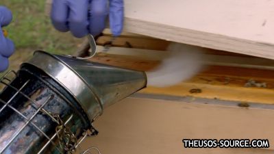 Total_Divas_S08E03_The_Real_Nicole_1080p_HULU_WEB-DL_AAC2_0_H_264-NTb_mkv0425.jpg