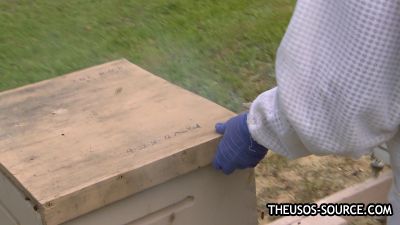 Total_Divas_S08E03_The_Real_Nicole_1080p_HULU_WEB-DL_AAC2_0_H_264-NTb_mkv0435.jpg