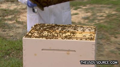 Total_Divas_S08E03_The_Real_Nicole_1080p_HULU_WEB-DL_AAC2_0_H_264-NTb_mkv0438.jpg