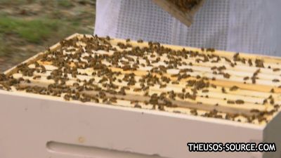 Total_Divas_S08E03_The_Real_Nicole_1080p_HULU_WEB-DL_AAC2_0_H_264-NTb_mkv0439.jpg