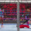 10__08__2017_mp4199.jpg