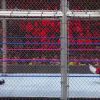 Filename=10__08__2017_mp4348.jpg
Filesize=197KiB
Dimensions=960x720
Date added=Oct 09, 2017 10__08__2017_mp4348.jpg