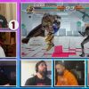 Filename=TEKKEN_NIGHT__2_JIMMY_USO_joins_the_battle21_mp45387.jpg
Filesize=223KiB
Dimensions=1920x1088
Date added=Apr 11, 2021 TEKKEN_NIGHT__2_JIMMY_USO_joins_the_battle21_mp45387.jpg