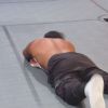 Filename=WWE_Clash_2020_mp40856.jpg
Filesize=62KiB
Dimensions=1280x720
Date added=Oct 03, 2020 WWE_Clash_2020_mp40856.jpg