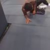 WWE_Clash_2020_mp41534.jpg