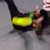 Filename=WWE_Mixed_Match_Challenge_S01E08_720p_WEB_h264-HEEL_mp41410.jpg
Filesize=51KiB
Dimensions=1280x720
Date added=Mar 07, 2018 WWE_Mixed_Match_Challenge_S01E08_720p_WEB_h264-HEEL_mp41410.jpg