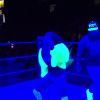 Filename=WWE_Mixed_Match_Challenge_S02E01_720p_WEB_h264-HEEL_mp43174.jpg
Filesize=61KiB
Dimensions=1280x720
Date added=Sep 22, 2018 WWE_Mixed_Match_Challenge_S02E01_720p_WEB_h264-HEEL_mp43174.jpg