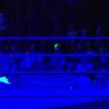 Filename=WWE_Mixed_Match_Challenge_S02E03_720p_WEB_h264-HEEL_mp40666.jpg
Filesize=53KiB
Dimensions=1280x720
Date added=Oct 03, 2018 WWE_Mixed_Match_Challenge_S02E03_720p_WEB_h264-HEEL_mp40666.jpg