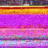 b-20231114_010945_619.jpg