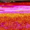 Filename=c-20231206_155726_638.jpg
Filesize=153KiB
Dimensions=1280x720
Date added=Dec 06, 2023 c-20231206_155726_638.jpg