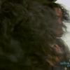Filename=joined-all_mkv1240.jpg
Filesize=47KiB
Dimensions=1280x720
Date added=Nov 02, 2017 joined-all_mkv1240.jpg