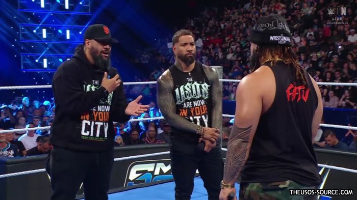Usos_mp40103.jpg