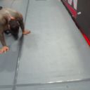 bandicam_2026-10-12_20-04-06-398_mp42259.jpg